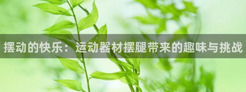 熊猫体育集团简介：摆动的快乐：运动器材摆腿带来的趣味与挑战