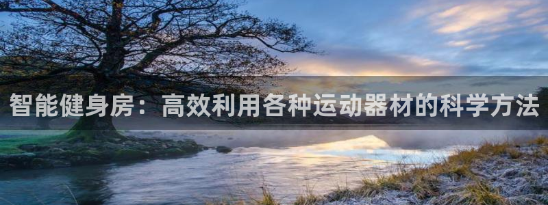 熊猫体育娱乐是那个系列的台子：智能健身房：高效利用各种运动器