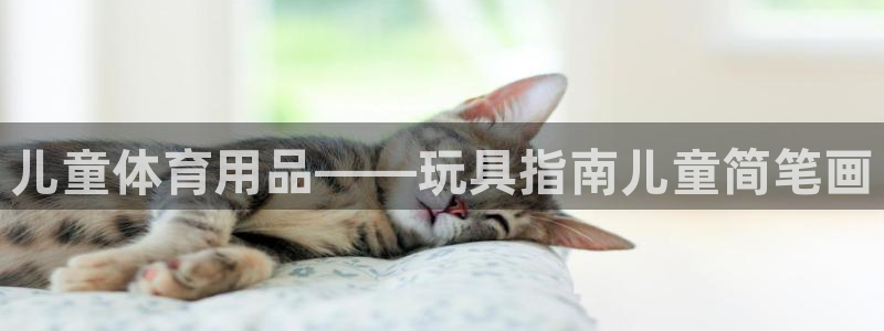 熊猫体育官网下载平台注册要钱吗安全吗：儿童体育用品——玩具指