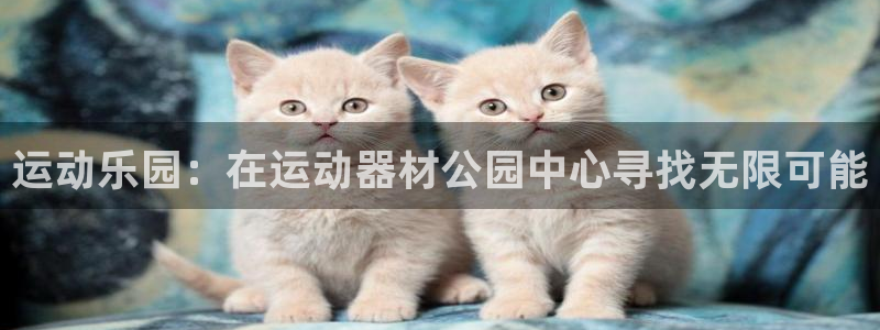 熊猫体育官网下载注册：运动乐园：在运动器材公园中心寻找无限可