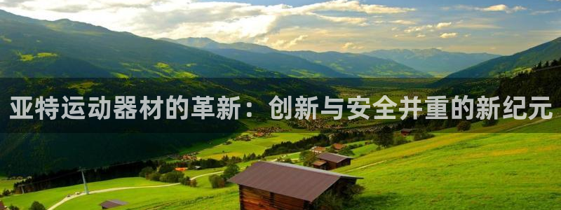 德国熊猫体育集团