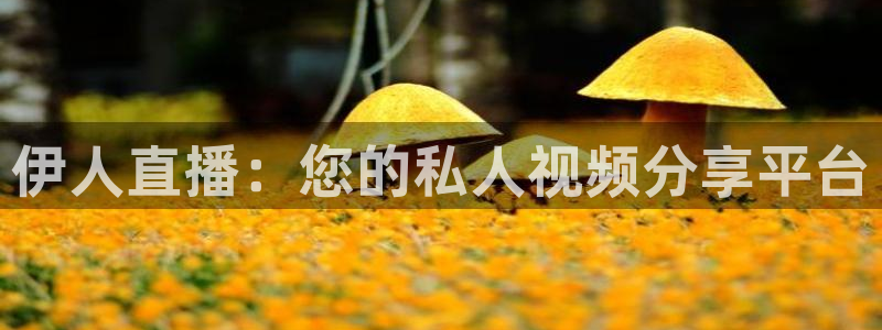 绿茵直播体育app下载安装最新版：伊人直播：您的私人视频分享平台