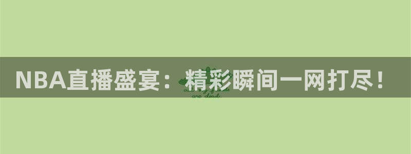绿茵体育直播官网下载：NBA直播盛宴：精彩瞬间一网打尽！
