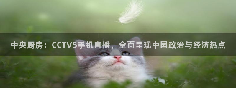 cba在线绿茵直播：中央厨房：CCTV5手机直播，全面呈现中国政治与经济热点