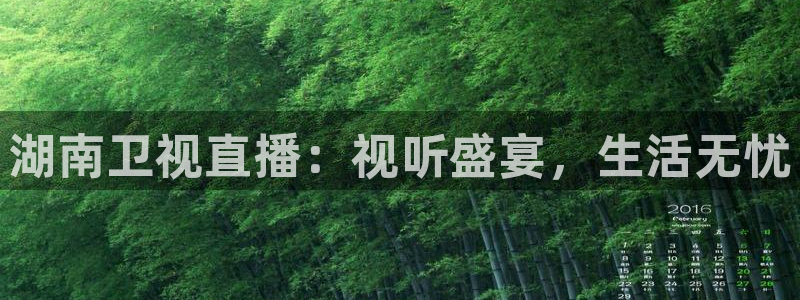 绿茵足球免费直播：湖南卫视直播：视听盛宴，生活无忧