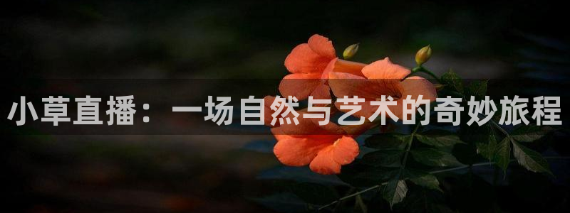 绿茵直播体育app下载安装最新版：小草直播：一场自然与艺术的奇妙旅程