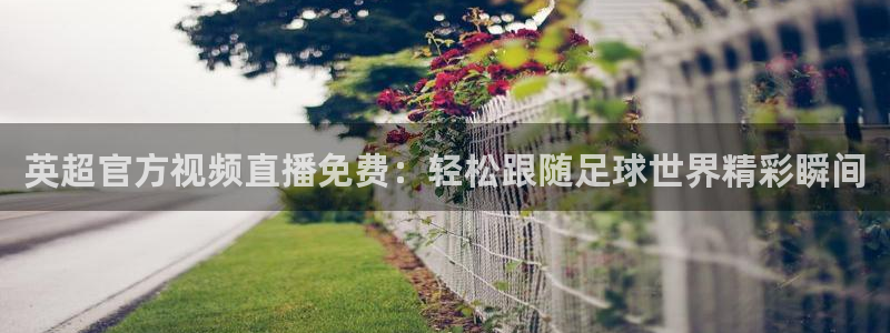 绿茵直播体育免费直播：英超官方视频直播免费：轻松跟随足球世界精彩瞬间