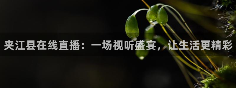 绿茵足球直播晚晚：夹江县在线直播：一场视听盛宴，让生活更精彩
